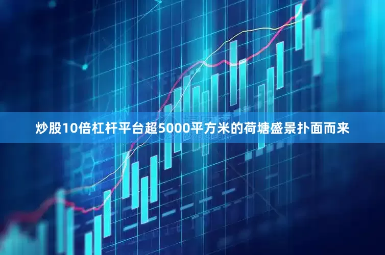 炒股10倍杠杆平台超5000平方米的荷塘盛景扑面而来
