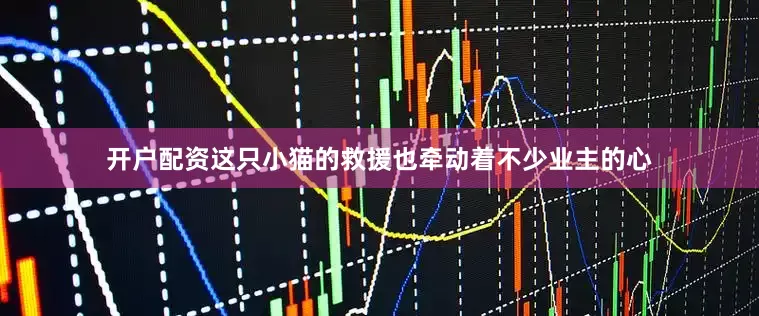 开户配资这只小猫的救援也牵动着不少业主的心