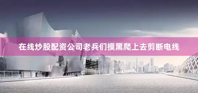 在线炒股配资公司老兵们摸黑爬上去剪断电线